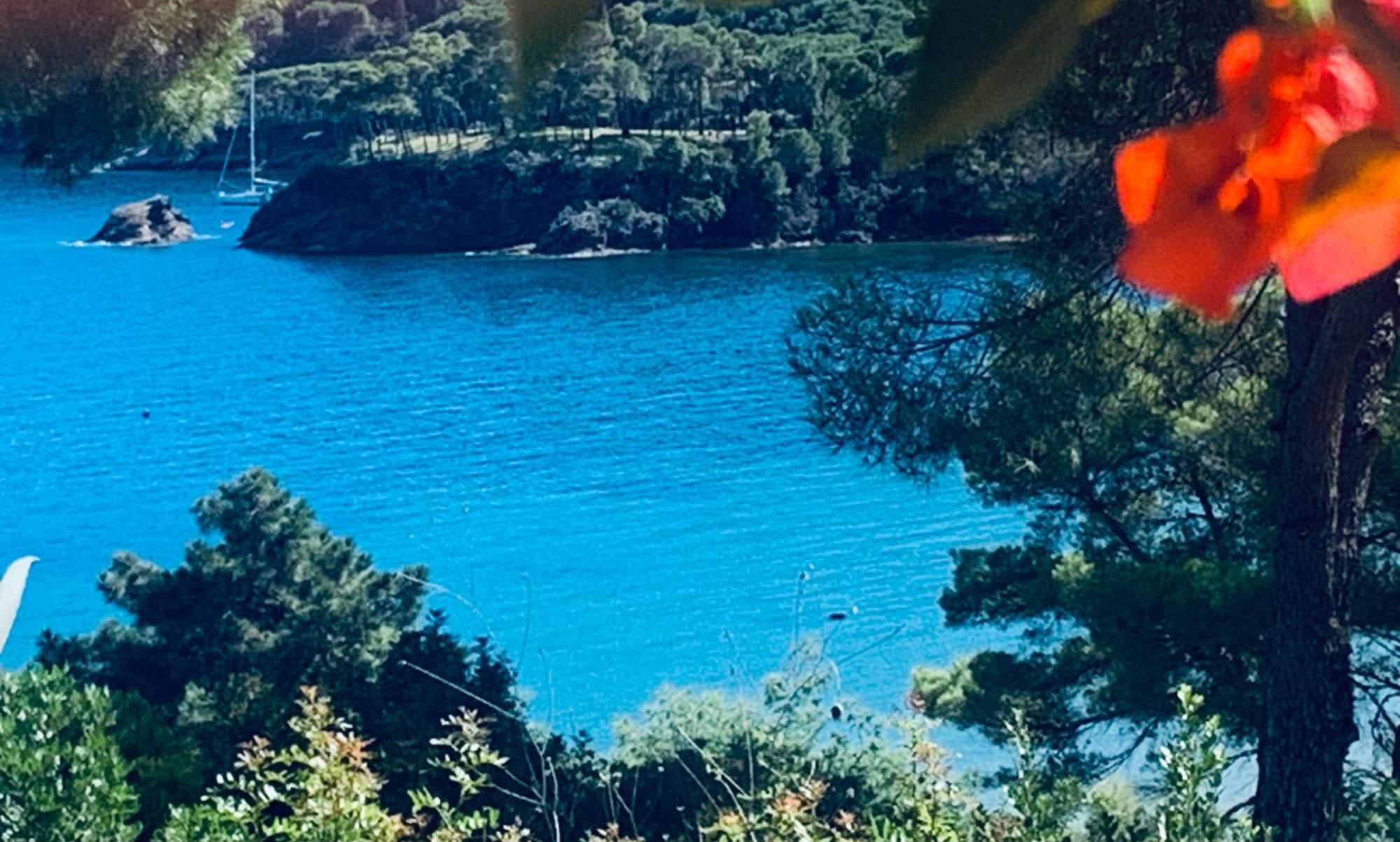 Case Dei Limoni Sul Mare Capoliveri  Exterior foto